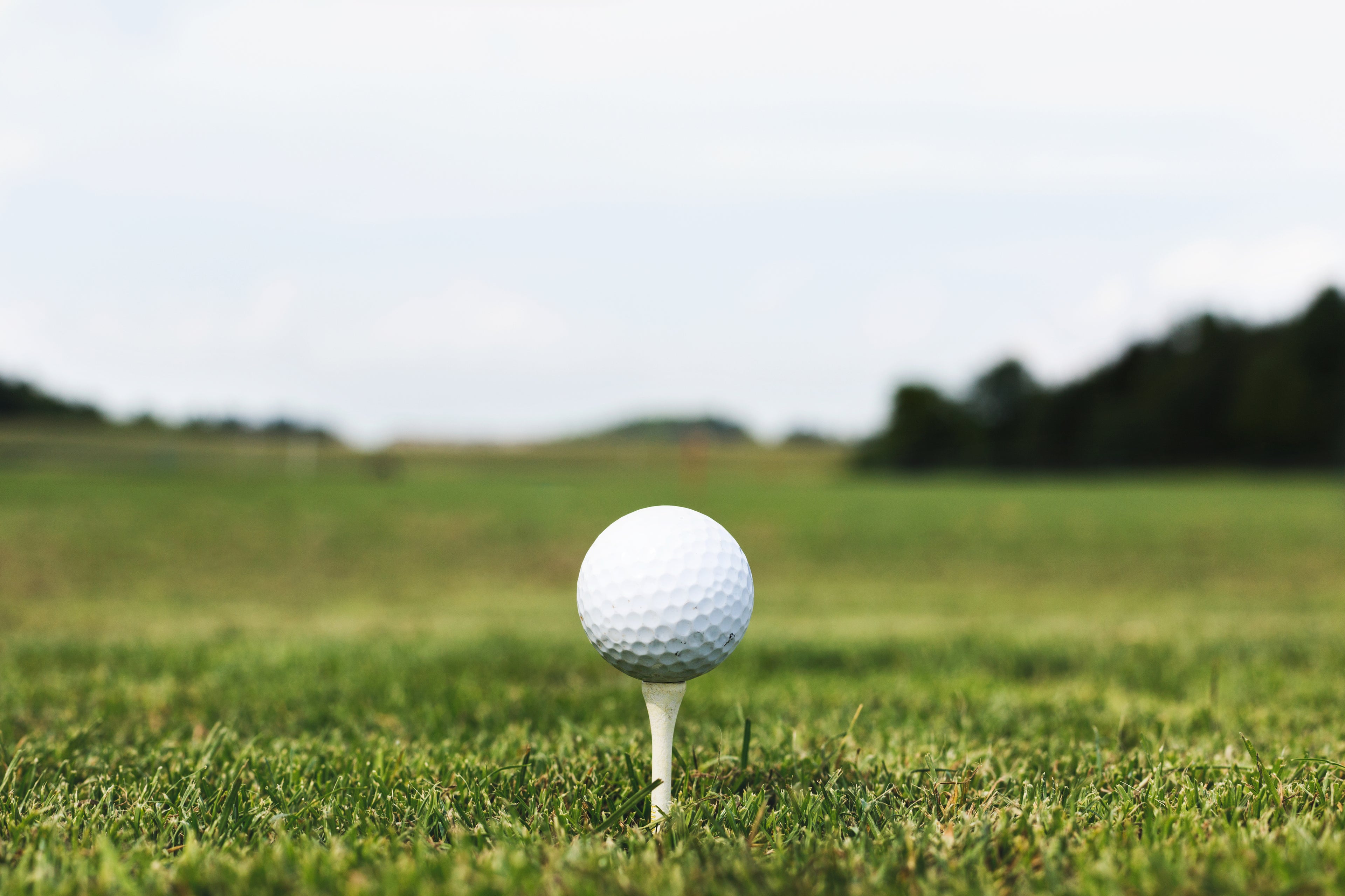 Your Ball Better Ball - Dog Shot Golf Gift Card